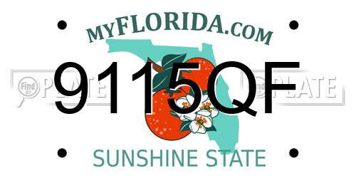 9115QF Florida License Plate