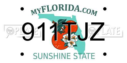 911TJZ Florida License Plate
