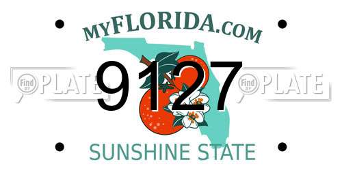 9127 Florida License Plate