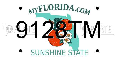 9128TM Florida License Plate