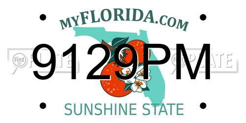 9129PM Florida License Plate