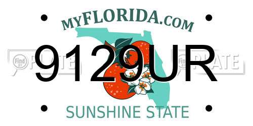 9129UR Florida License Plate