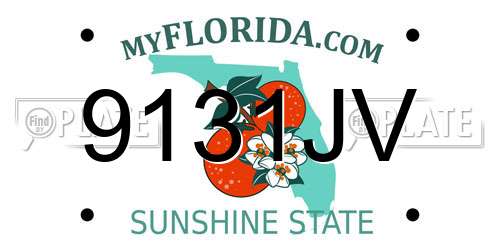 9131JV Florida License Plate
