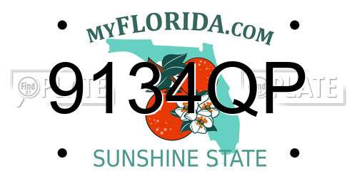 9134QP Florida License Plate