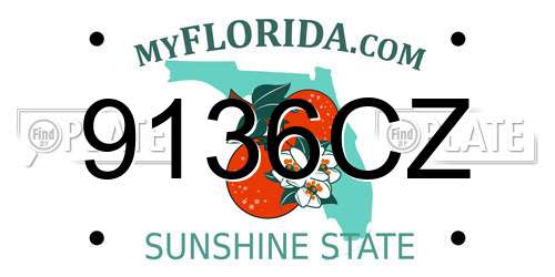 9136CZ Florida License Plate