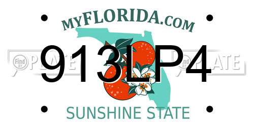 913LP4 Florida License Plate