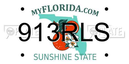 913RLS Florida License Plate