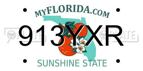 913YXR Florida License Plate