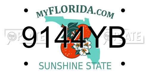 9144YB Florida License Plate