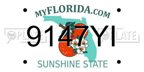9147YI Florida License Plate