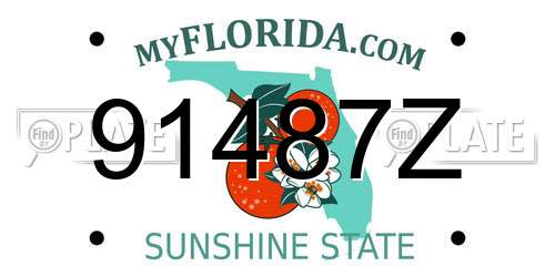 91487Z Florida License Plate