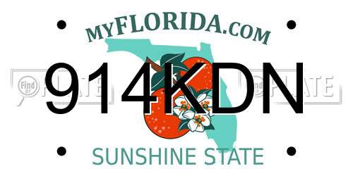 914KDN Florida License Plate