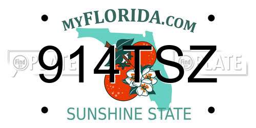 914TSZ Florida License Plate