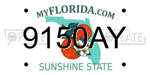 9150AY Florida License Plate