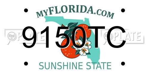 9150TC Florida License Plate