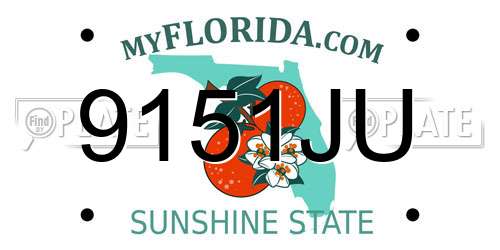 9151JU Florida License Plate