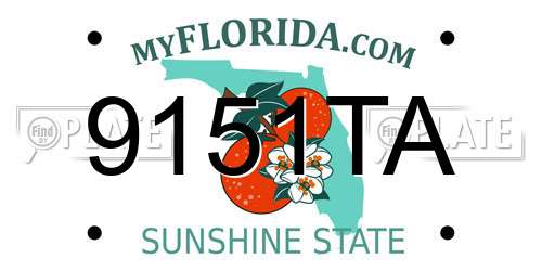 9151TA Florida License Plate