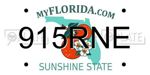 915RNE Florida License Plate