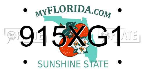 915XG1 Florida License Plate