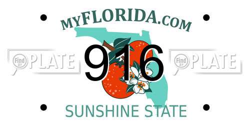 916 Florida License Plate