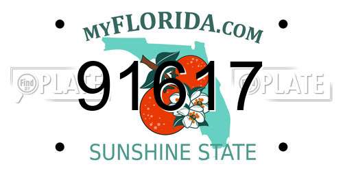 91617 Florida License Plate