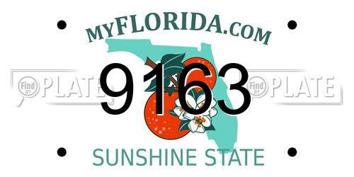 9163 Florida License Plate