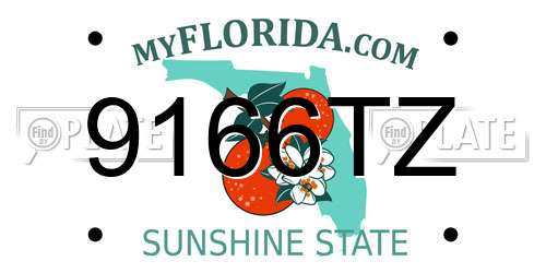 9166TZ Florida License Plate