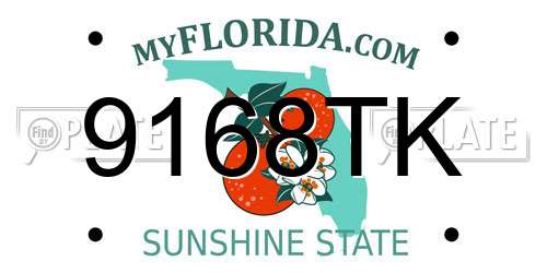 9168TK Florida License Plate
