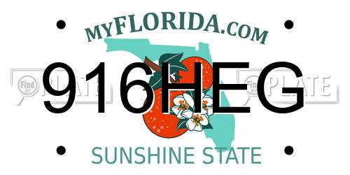 916HEG Florida License Plate