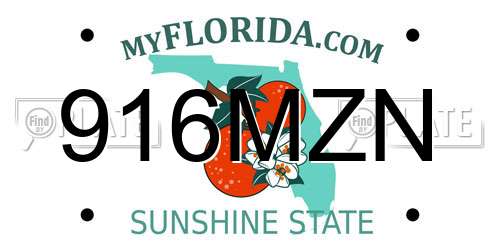 916MZN Florida License Plate