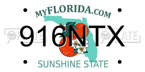 916NTX Florida License Plate