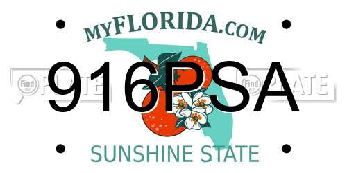 916PSA Florida License Plate