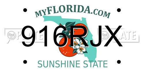 916RJX Florida License Plate