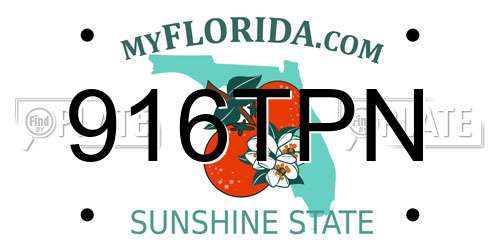 916TPN Florida License Plate