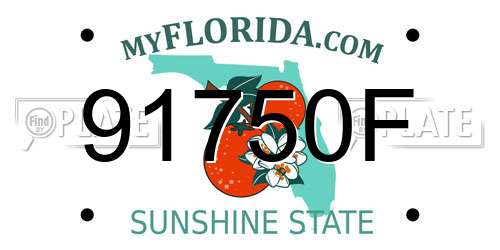 91750F Florida License Plate
