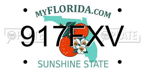 917FXV Florida License Plate