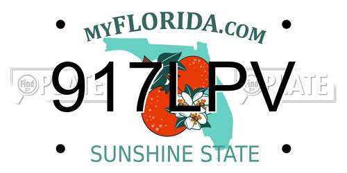 917LPV Florida License Plate