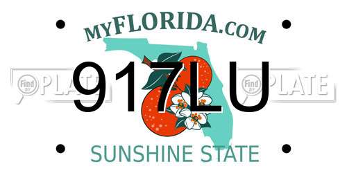 917LU Florida License Plate