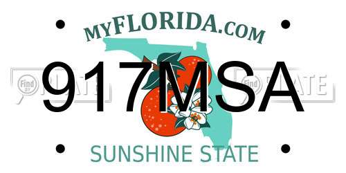 917MSA Florida License Plate