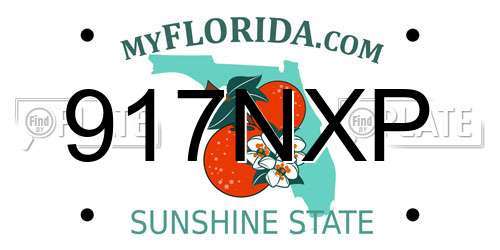 917NXP Florida License Plate