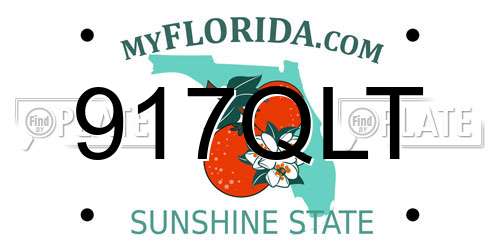 917QLT Florida License Plate