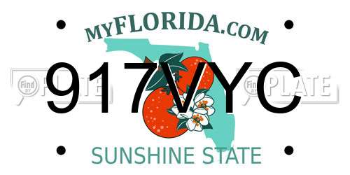 917VYC Florida License Plate