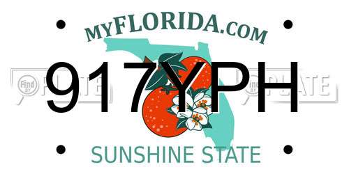917YPH Florida License Plate