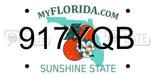 917YQB Florida License Plate