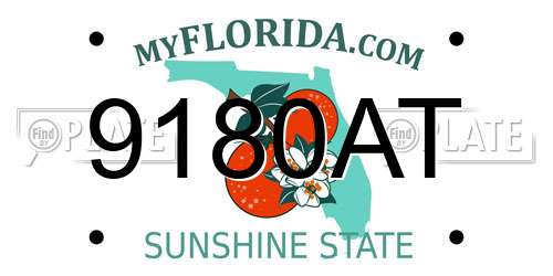 9180AT Florida License Plate