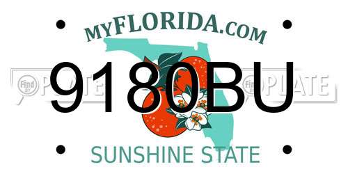 9180BU Florida License Plate