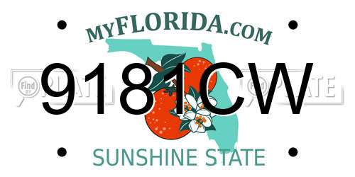 9181CW Florida License Plate
