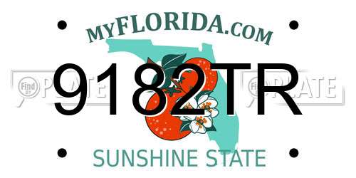 9182TR Florida License Plate