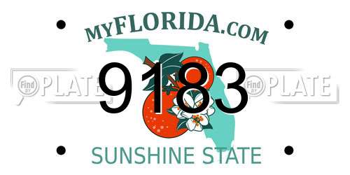 9183 Florida License Plate