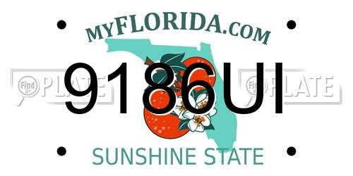 9186UI Florida License Plate